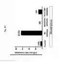 Fig. 09 - Listeria-induced immunorecruitment and activation, and methods of use thereof