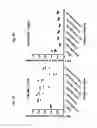 Fig. 12 - Listeria-induced immunorecruitment and activation, and methods of use thereof