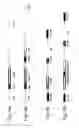 Fig. 04 - Methods of hemodialysis utilizing grafts coated with cells expressing human fibulin-5