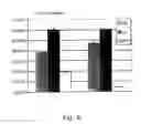 Fig. 06 - Methods of hemodialysis utilizing grafts coated with cells expressing human fibulin-5