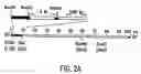 Fig. 03 - Recombinant p53 adenovirus methods and compositions