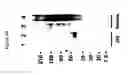 Fig. 52 - Use of A33 antigens and JAM-IT