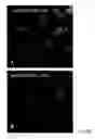 Fig. 67 - Use of A33 antigens and JAM-IT