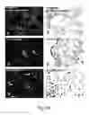 Fig. 68 - Use of A33 antigens and JAM-IT