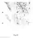 Fig. 72 - Use of A33 antigens and JAM-IT