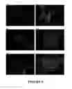 Fig. 09 - Muscle regeneration compositions and uses therefor