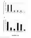 Fig. 11 - Muscle regeneration compositions and uses therefor