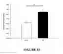 Fig. 17 - Muscle regeneration compositions and uses therefor