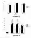 Fig. 27 - Muscle regeneration compositions and uses therefor