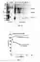 Fig. 09 - Anti-HIV agents