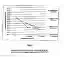 Fig. 03 - Compositions containing nicorandil, preparation method and use