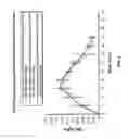 Fig. 04 - Osmotic dosage form with controlled release and fast release aspects