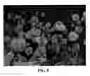 Fig. 10 - PHARMACEUTICAL COMPOSITIONS IN PARTICULATE FORM
