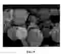 Fig. 11 - PHARMACEUTICAL COMPOSITIONS IN PARTICULATE FORM