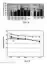 Fig. 07 - Nanoparticles for drug-delivery