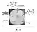 Fig. 10 - Nanoparticles for drug-delivery