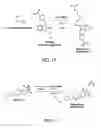Fig. 11 - Nanoparticles for drug-delivery