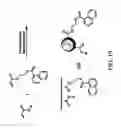 Fig. 15 - Nanoparticles for drug-delivery