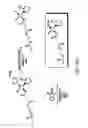 Fig. 43 - Nanoparticles for drug-delivery