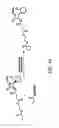 Fig. 44 - Nanoparticles for drug-delivery