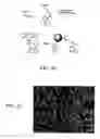 Fig. 53 - Nanoparticles for drug-delivery