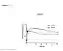 Fig. 05 - Methods of treating cancer with high potency lipid-based platinum compound formulations administered intraperitoneally