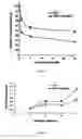 Fig. 04 - Use of geraniol in antitumoral therapy