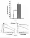 Fig. 05 - Use of geraniol in antitumoral therapy