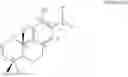 Fig. 02 - Abietane diterpenoid compound, and composition comprising extract of , or abietane diterpenoid compounds or terpenoid compounds isolated from them for prevention and treatment of cardiovascular disease