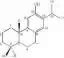 Fig. 05 - Abietane diterpenoid compound, and composition comprising extract of , or abietane diterpenoid compounds or terpenoid compounds isolated from them for prevention and treatment of cardiovascular disease