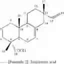 Fig. 10 - Abietane diterpenoid compound, and composition comprising extract of , or abietane diterpenoid compounds or terpenoid compounds isolated from them for prevention and treatment of cardiovascular disease