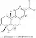 Fig. 11 - Abietane diterpenoid compound, and composition comprising extract of , or abietane diterpenoid compounds or terpenoid compounds isolated from them for prevention and treatment of cardiovascular disease