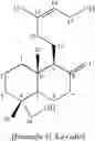 Fig. 12 - Abietane diterpenoid compound, and composition comprising extract of , or abietane diterpenoid compounds or terpenoid compounds isolated from them for prevention and treatment of cardiovascular disease