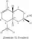 Fig. 13 - Abietane diterpenoid compound, and composition comprising extract of , or abietane diterpenoid compounds or terpenoid compounds isolated from them for prevention and treatment of cardiovascular disease