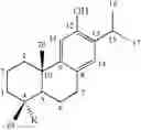 Fig. 15 - Abietane diterpenoid compound, and composition comprising extract of , or abietane diterpenoid compounds or terpenoid compounds isolated from them for prevention and treatment of cardiovascular disease