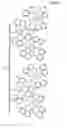 Fig. 08 - Method for forming organic light-emitting layer