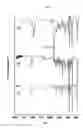 Fig. 04 - Type of soluble pentacene precursor