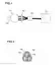 Fig. 02 - Elastomer and steel cord composite and process for producing the same