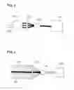 Fig. 03 - Elastomer and steel cord composite and process for producing the same