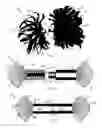 Fig. 02 - Convertible Pompon System