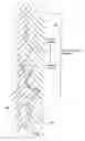 Fig. 08 - Cylindrical internal surface with thermally spray coating