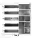 Fig. 04 - Anticurl backing layer dispersion