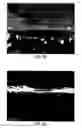 Fig. 12 - Inorganic film/substrate composite material with high transparency and method of manufacturing the same