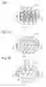 Fig. 02 - Anisotropic scattering adhesive member