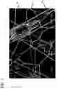 Fig. 06 - Polymer blend, polymer solution composition and fibers spun from the polymer blend and filtration applications thereof