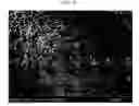 Fig. 06 - Method of producing metal nanoparticles