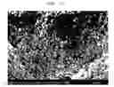 Fig. 12 - Method of producing metal nanoparticles