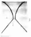Fig. 04 - Photolithographic patterning of polymeric materials