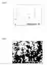 Fig. 03 - Composite metal article and production method thereof