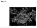 Fig. 06 - Composite metal article and production method thereof